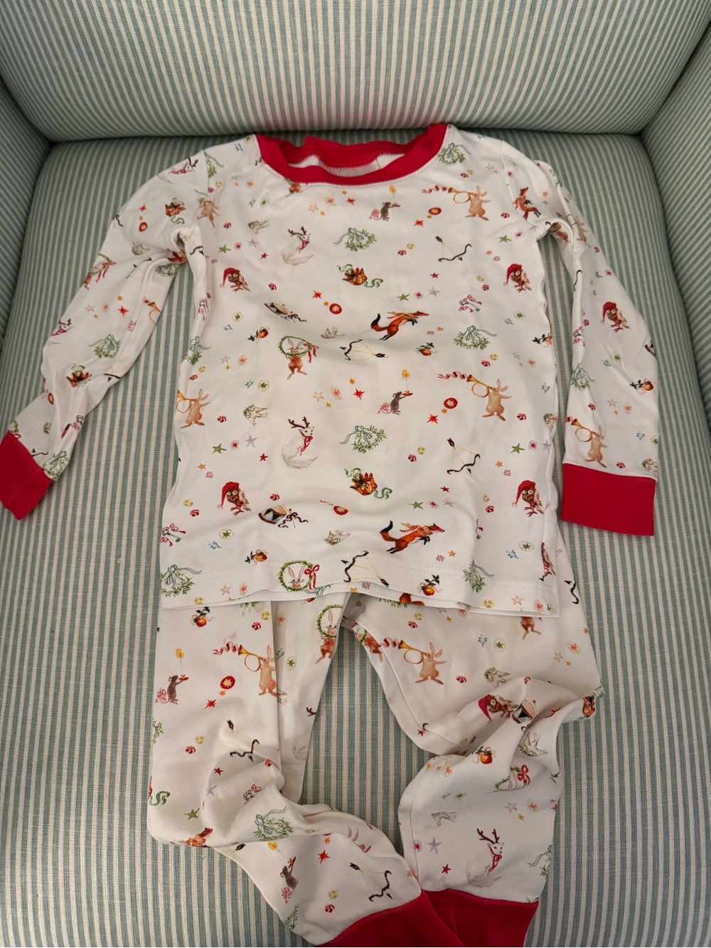 Lake Holiday Christmas Animal Print PJs with Red Trim Accents